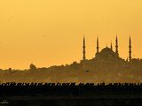 ist_37