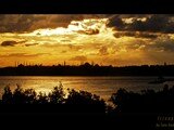 ist_44